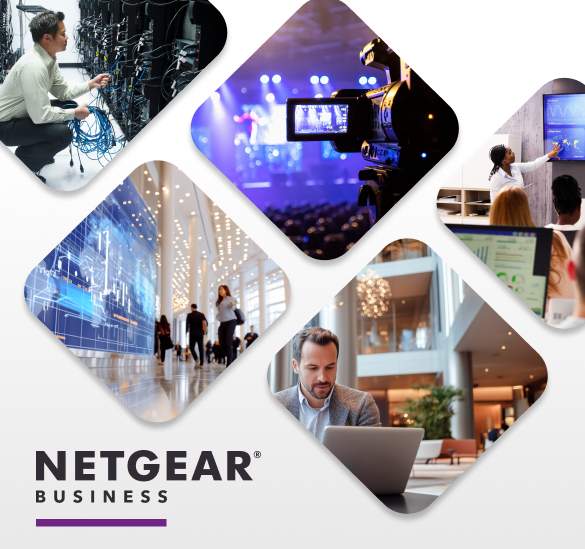 netgear business solutions
